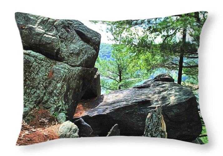 Wisconsin lake Parkland - Throw Pillow
