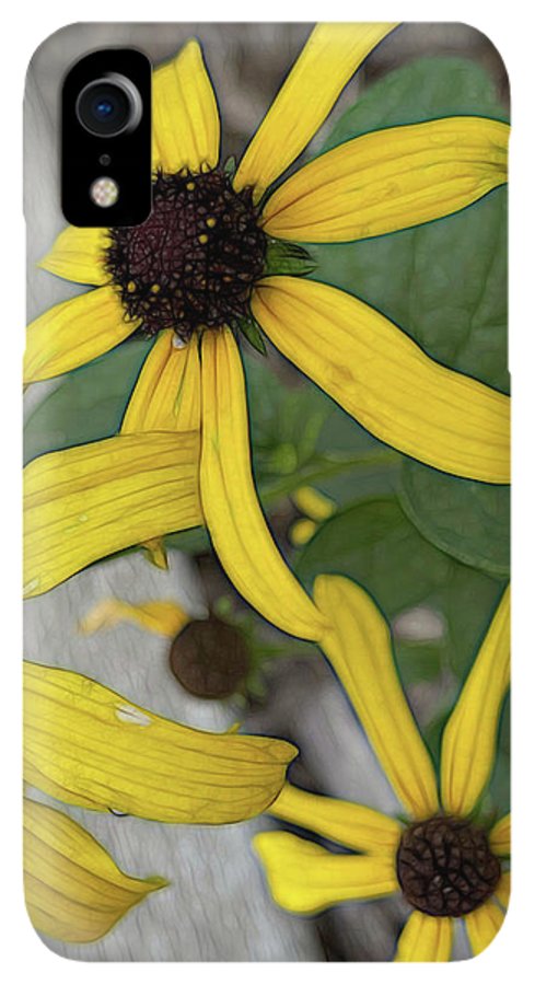 Yellow Cone Flower Close Up - Phone Case