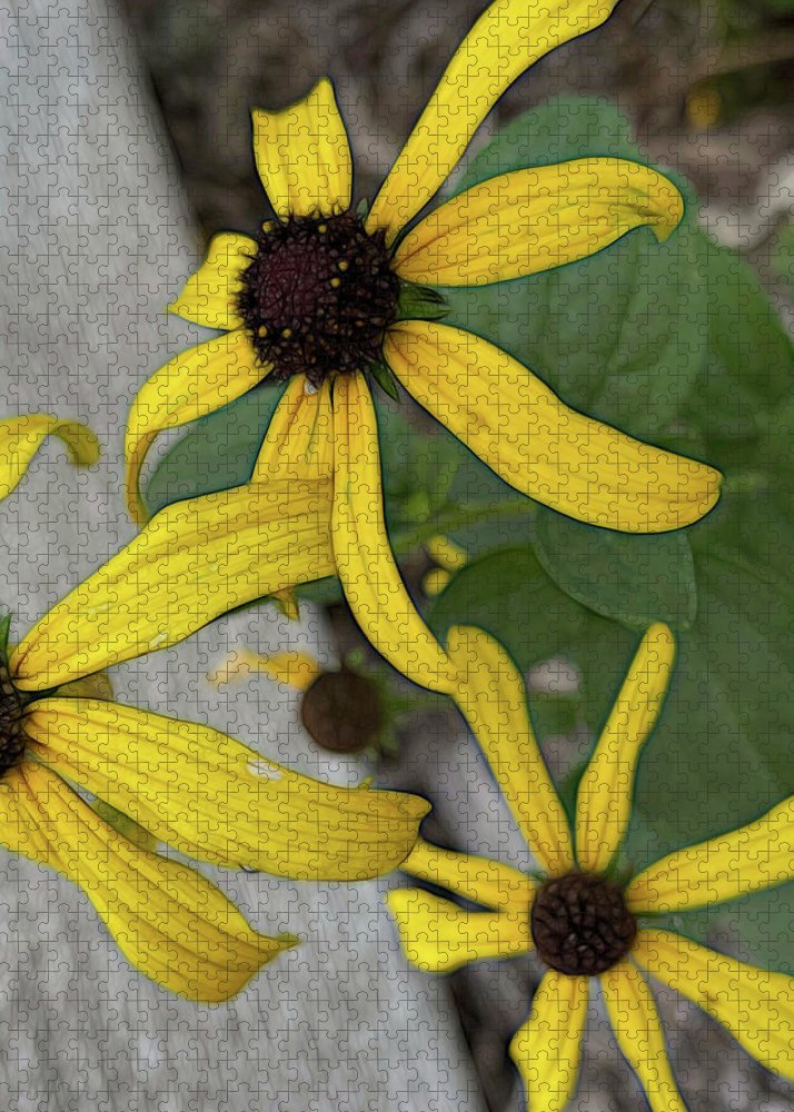 Yellow Cone Flower Close Up - Puzzle