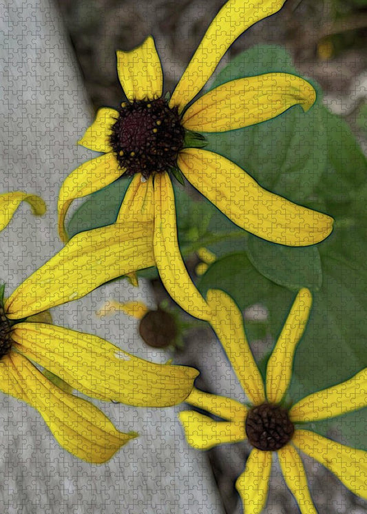 Yellow Cone Flower Close Up - Puzzle