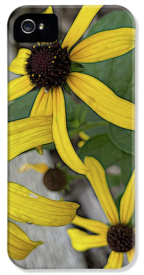 Yellow Cone Flower Close Up - Phone Case