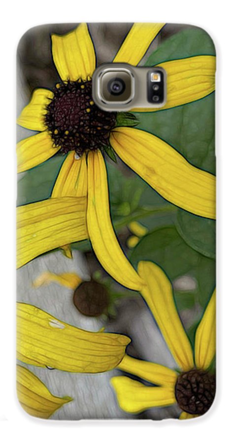 Yellow Cone Flower Close Up - Phone Case
