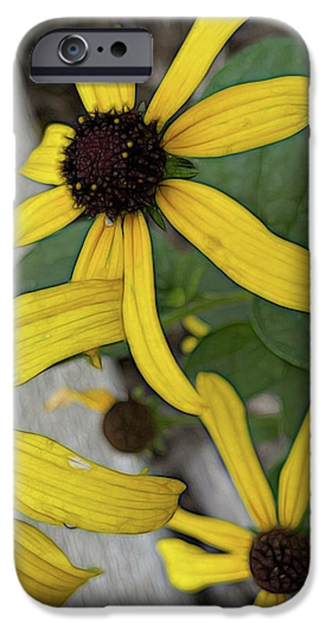 Yellow Cone Flower Close Up - Phone Case