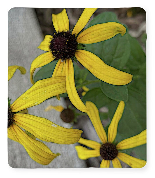 Yellow Cone Flower Close Up - Blanket