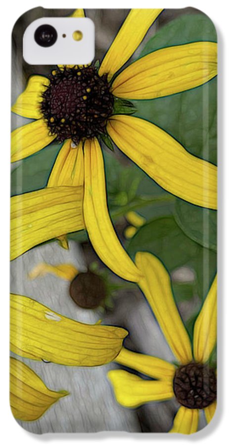 Yellow Cone Flower Close Up - Phone Case