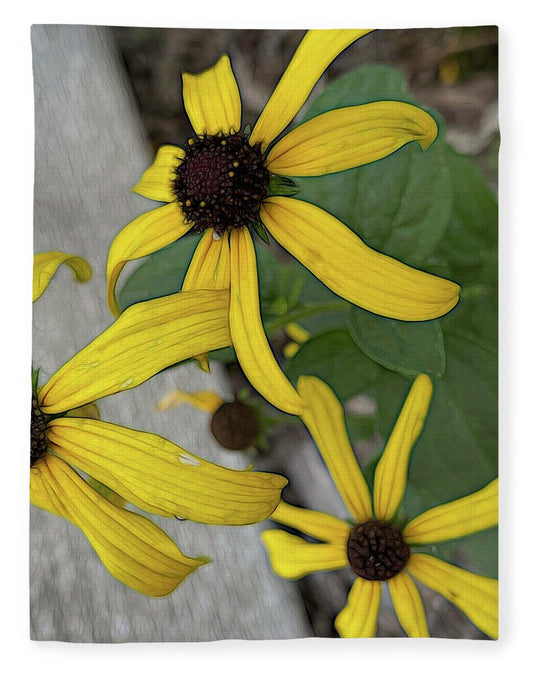 Yellow Cone Flower Close Up - Blanket