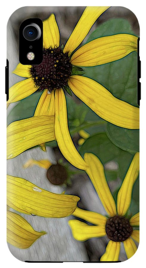 Yellow Cone Flower Close Up - Phone Case