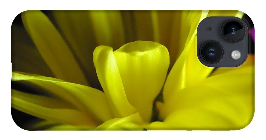 Yellow Daisy All Wild In The Morning - Phone Case
