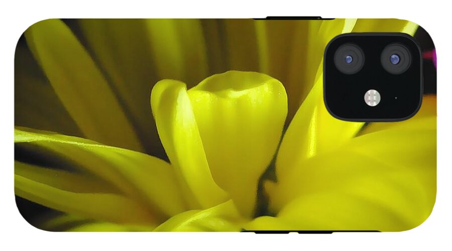 Yellow Daisy All Wild In The Morning - Phone Case