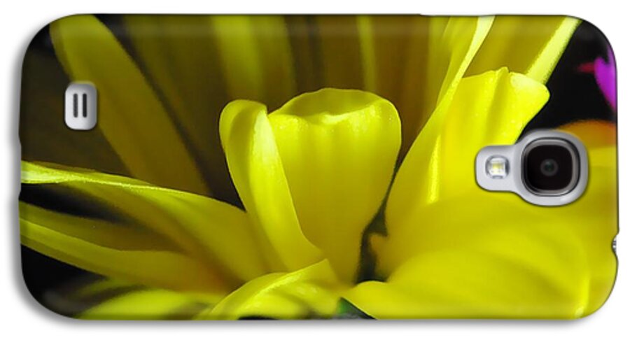 Yellow Daisy All Wild In The Morning - Phone Case