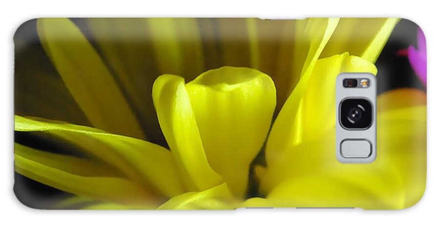 Yellow Daisy All Wild In The Morning - Phone Case