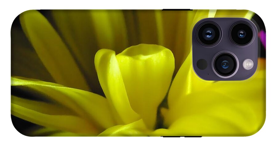 Yellow Daisy All Wild In The Morning - Phone Case