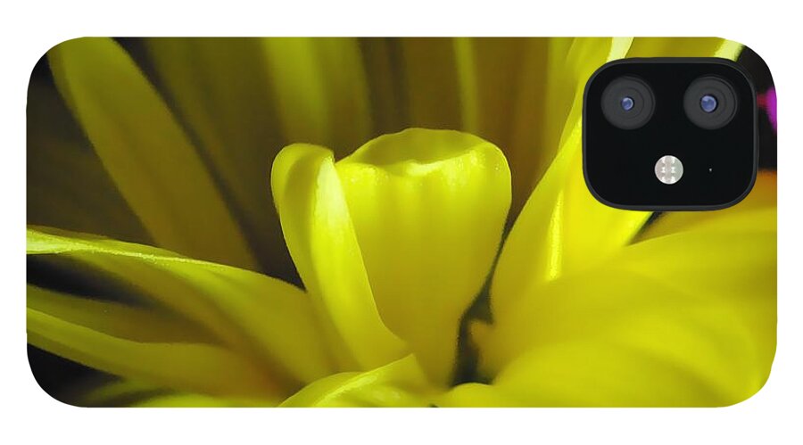 Yellow Daisy All Wild In The Morning - Phone Case