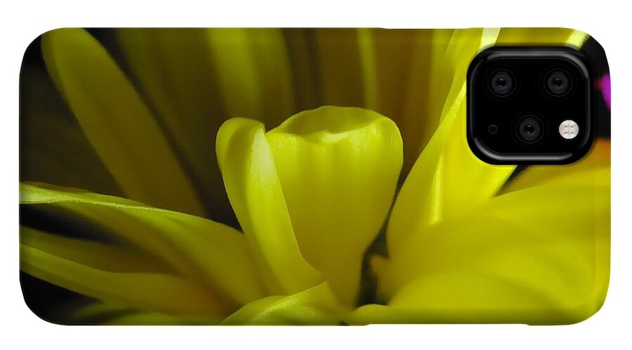 Yellow Daisy All Wild In The Morning - Phone Case