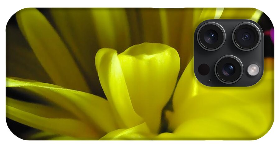 Yellow Daisy All Wild In The Morning - Phone Case