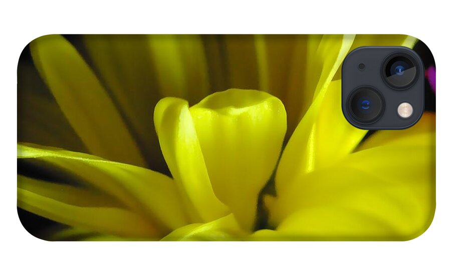 Yellow Daisy All Wild In The Morning - Phone Case