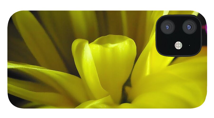 Yellow Daisy All Wild In The Morning - Phone Case