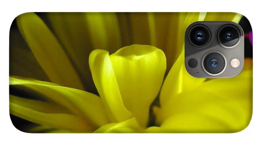 Yellow Daisy All Wild In The Morning - Phone Case