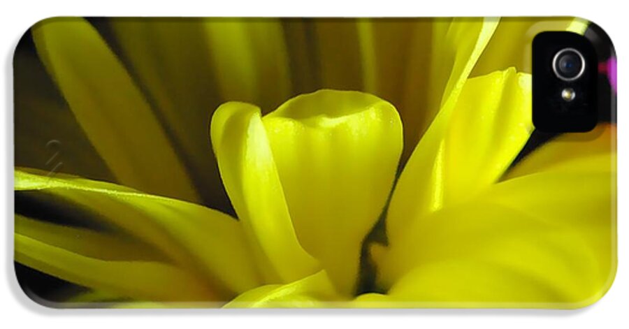 Yellow Daisy All Wild In The Morning - Phone Case