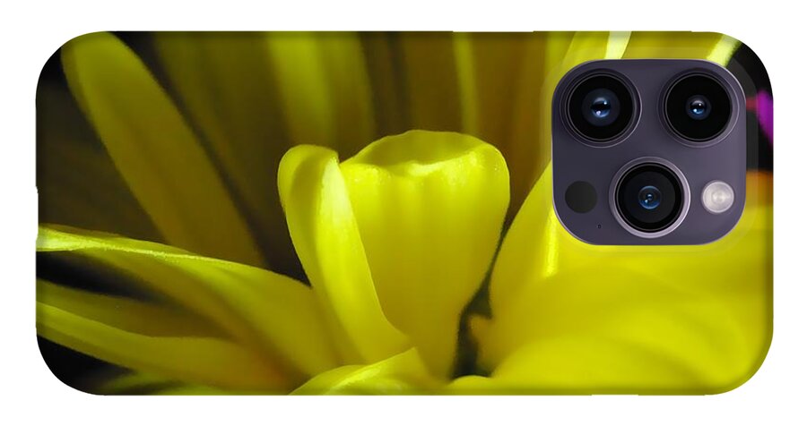 Yellow Daisy All Wild In The Morning - Phone Case