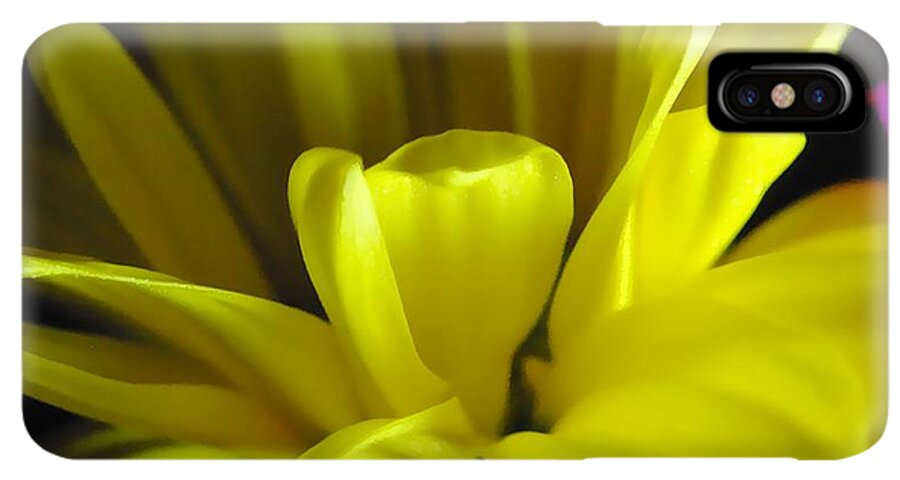 Yellow Daisy All Wild In The Morning - Phone Case
