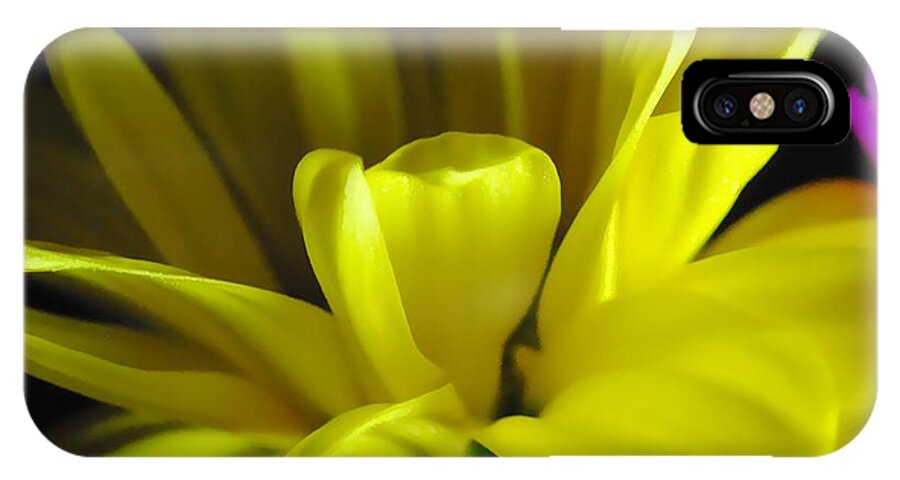 Yellow Daisy All Wild In The Morning - Phone Case