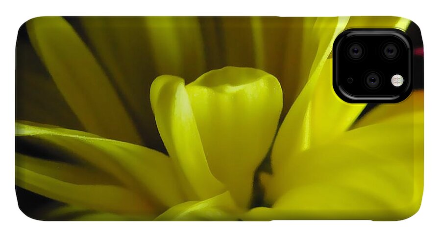 Yellow Daisy All Wild In The Morning - Phone Case