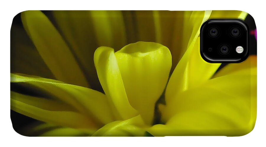 Yellow Daisy All Wild In The Morning - Phone Case