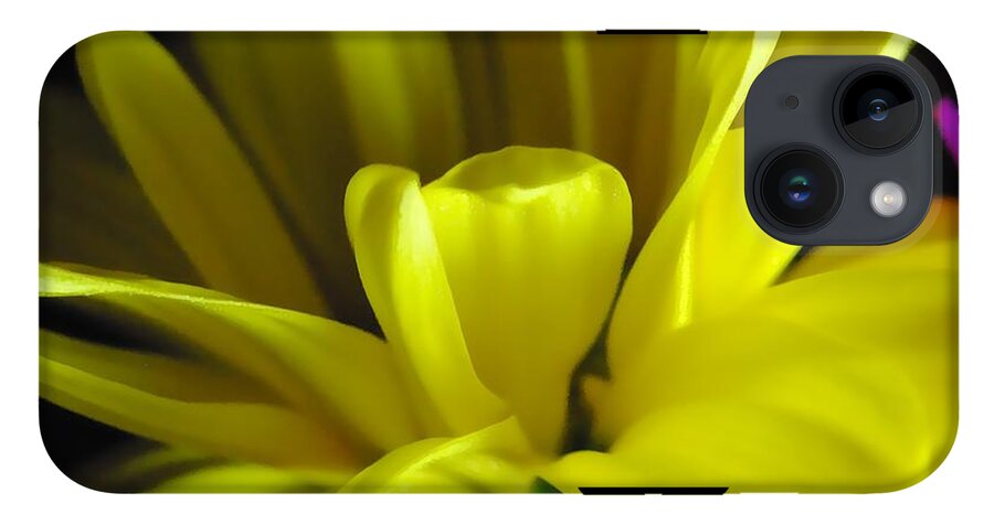 Yellow Daisy All Wild In The Morning - Phone Case