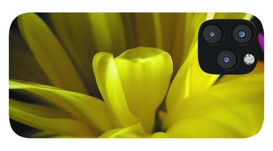 Yellow Daisy All Wild In The Morning - Phone Case