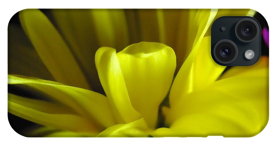Yellow Daisy All Wild In The Morning - Phone Case