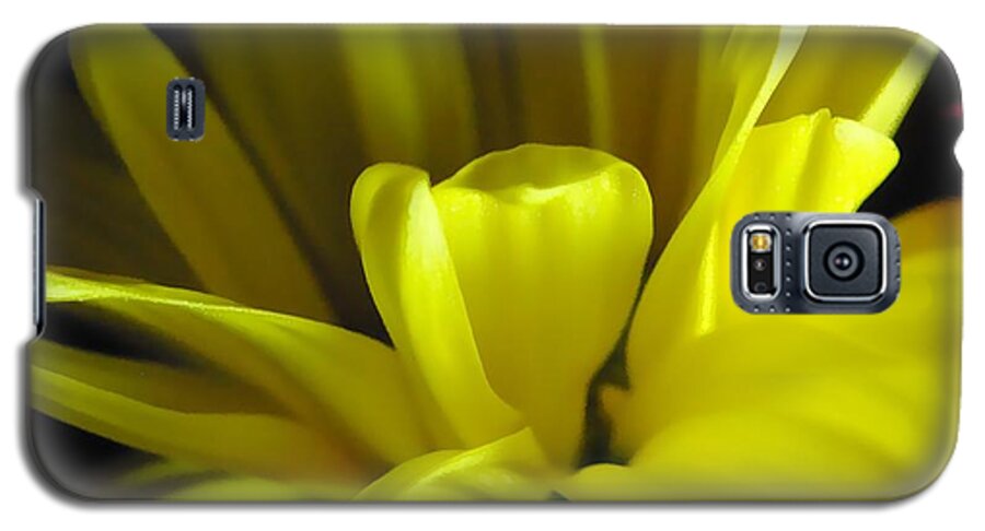 Yellow Daisy All Wild In The Morning - Phone Case