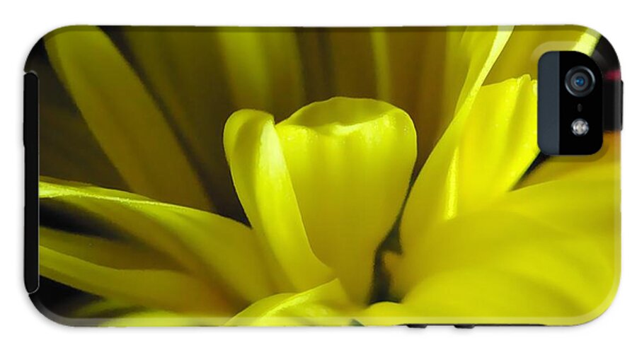 Yellow Daisy All Wild In The Morning - Phone Case