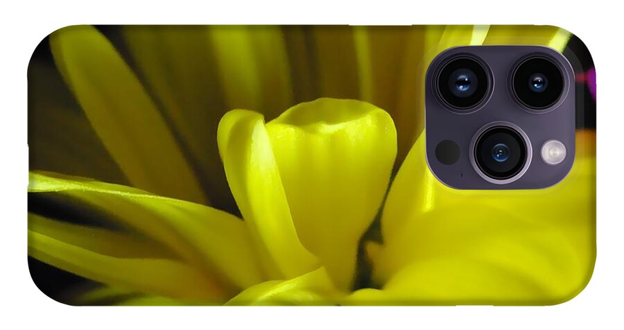Yellow Daisy All Wild In The Morning - Phone Case