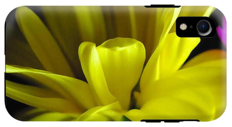 Yellow Daisy All Wild In The Morning - Phone Case