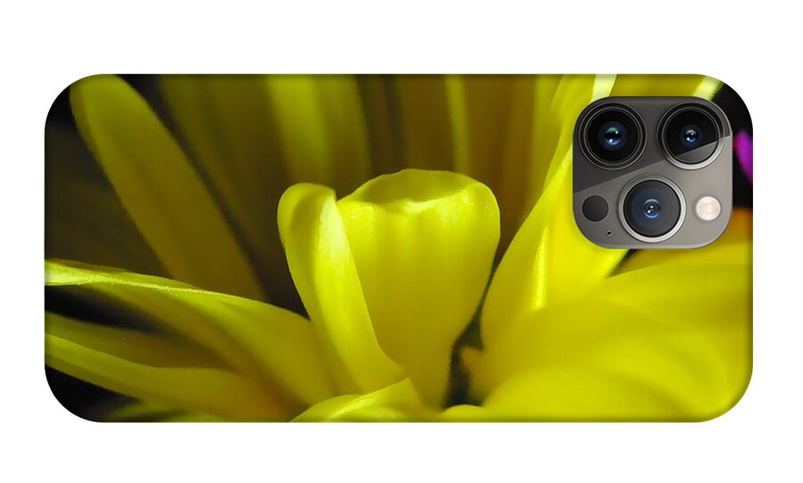 Yellow Daisy All Wild In The Morning - Phone Case