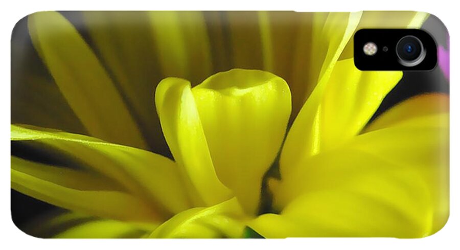 Yellow Daisy All Wild In The Morning - Phone Case