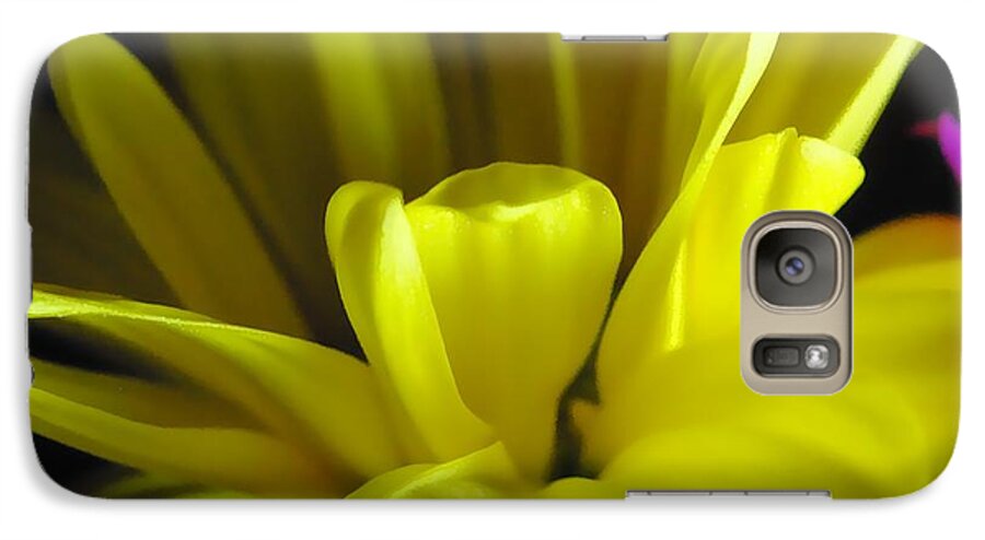 Yellow Daisy All Wild In The Morning - Phone Case