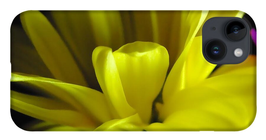 Yellow Daisy All Wild In The Morning - Phone Case