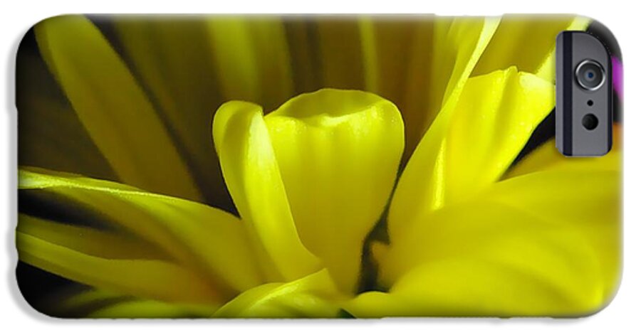 Yellow Daisy All Wild In The Morning - Phone Case