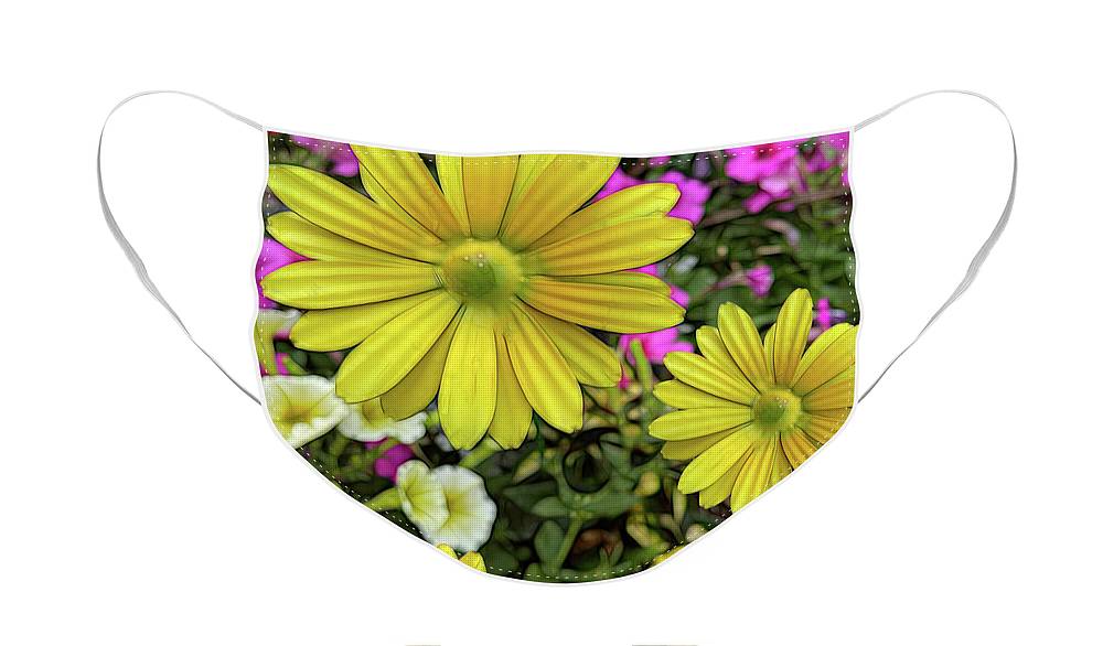Yellow Daisy Garden - Face Mask