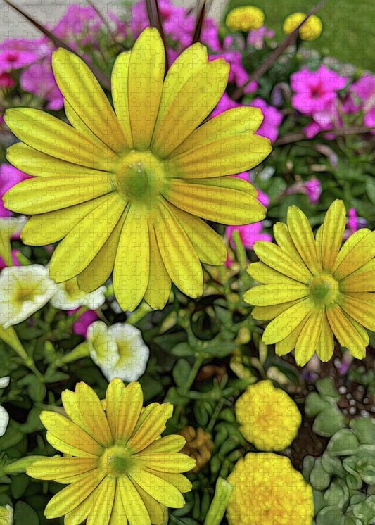 Yellow Daisy Garden - Puzzle