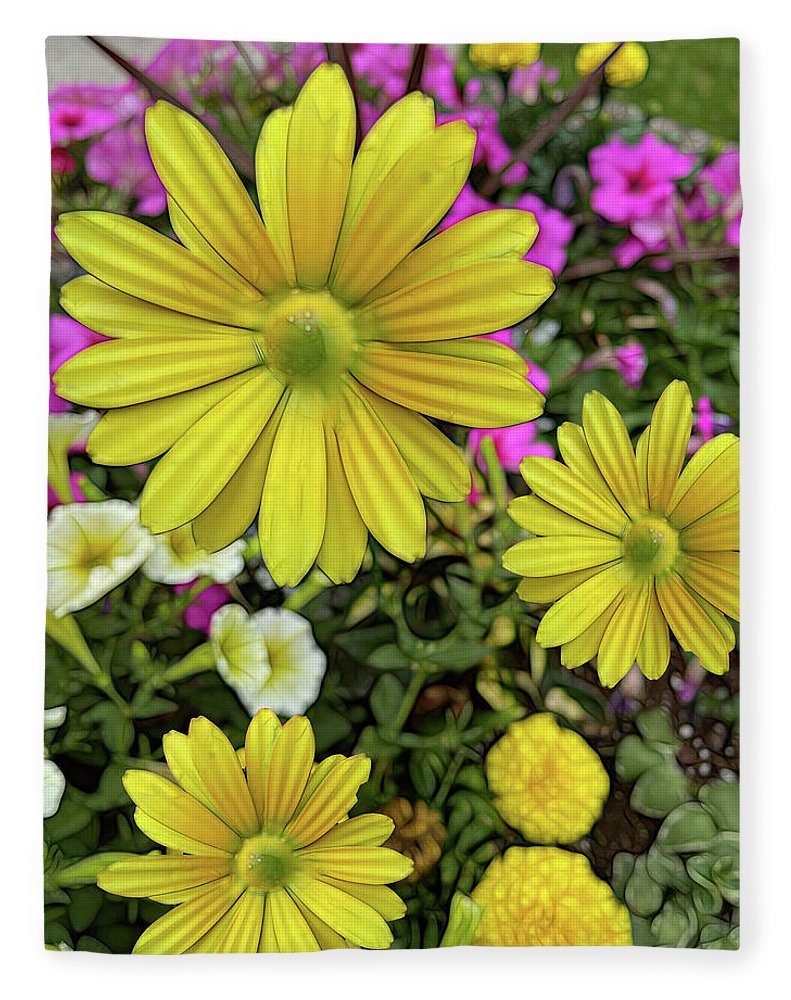 Yellow Daisy Garden - Blanket