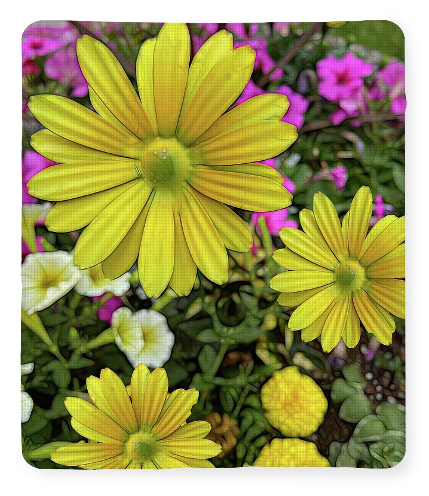 Yellow Daisy Garden - Blanket