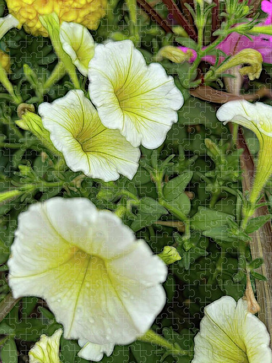 Yellow Petunias - Puzzle