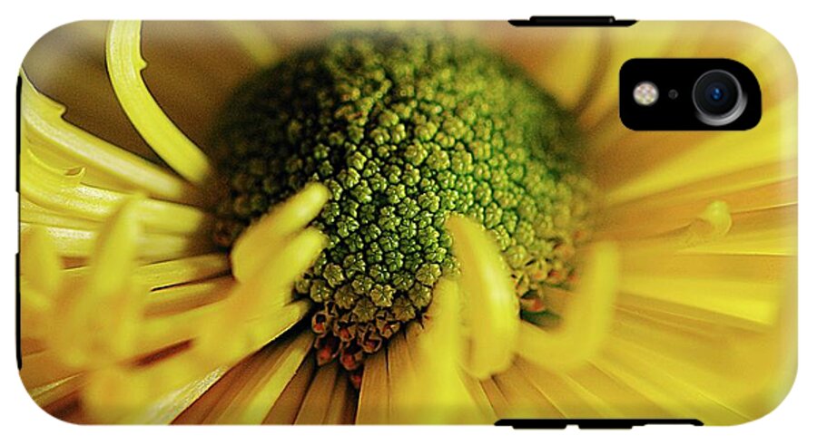 Yellow Spider Mum - Phone Case