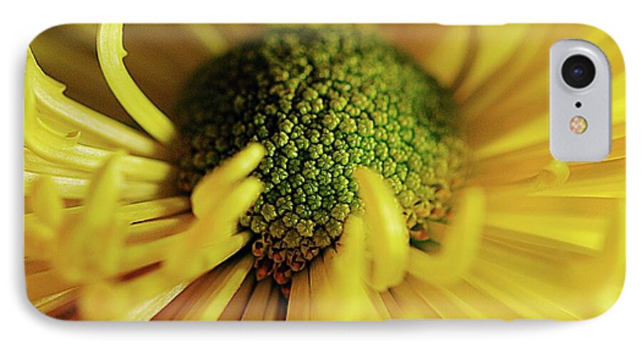 Yellow Spider Mum - Phone Case