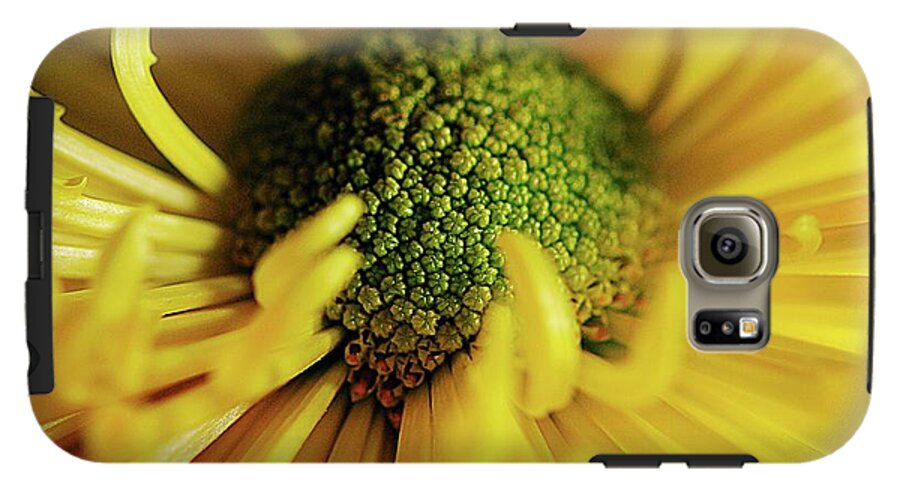 Yellow Spider Mum - Phone Case