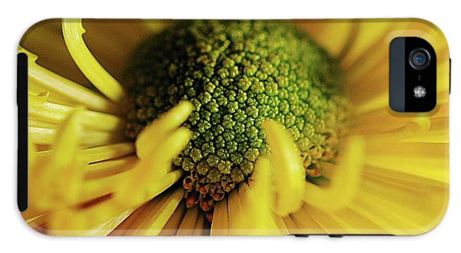 Yellow Spider Mum - Phone Case