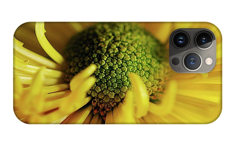 Yellow Spider Mum - Phone Case